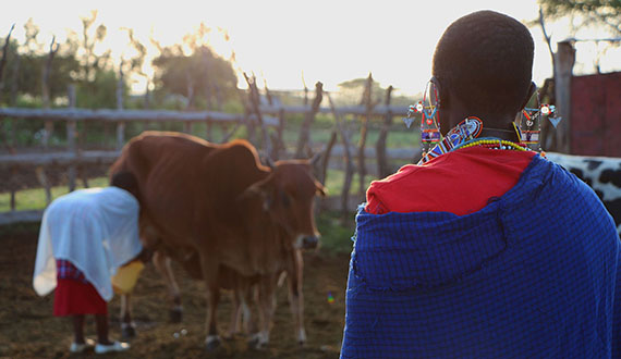 A Closer Look at Hunger and Undernutrition in Kenya